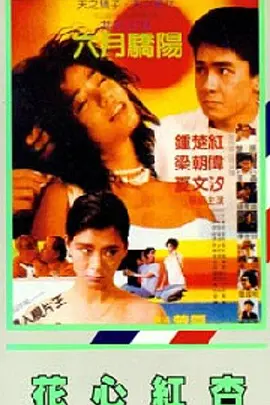 CCTV6 VIP影院 全部 电影 电视剧 影人 视频 图片 新闻 更新时间 所有 1小时内 今日内 1周内 1个月内 从资讯频道搜索 结果 172577 条 想把你的创意变成作品吗？
